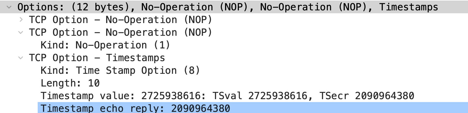 Extrait d'une trace Wireshark montrant l'option Timestamp en situation réelle